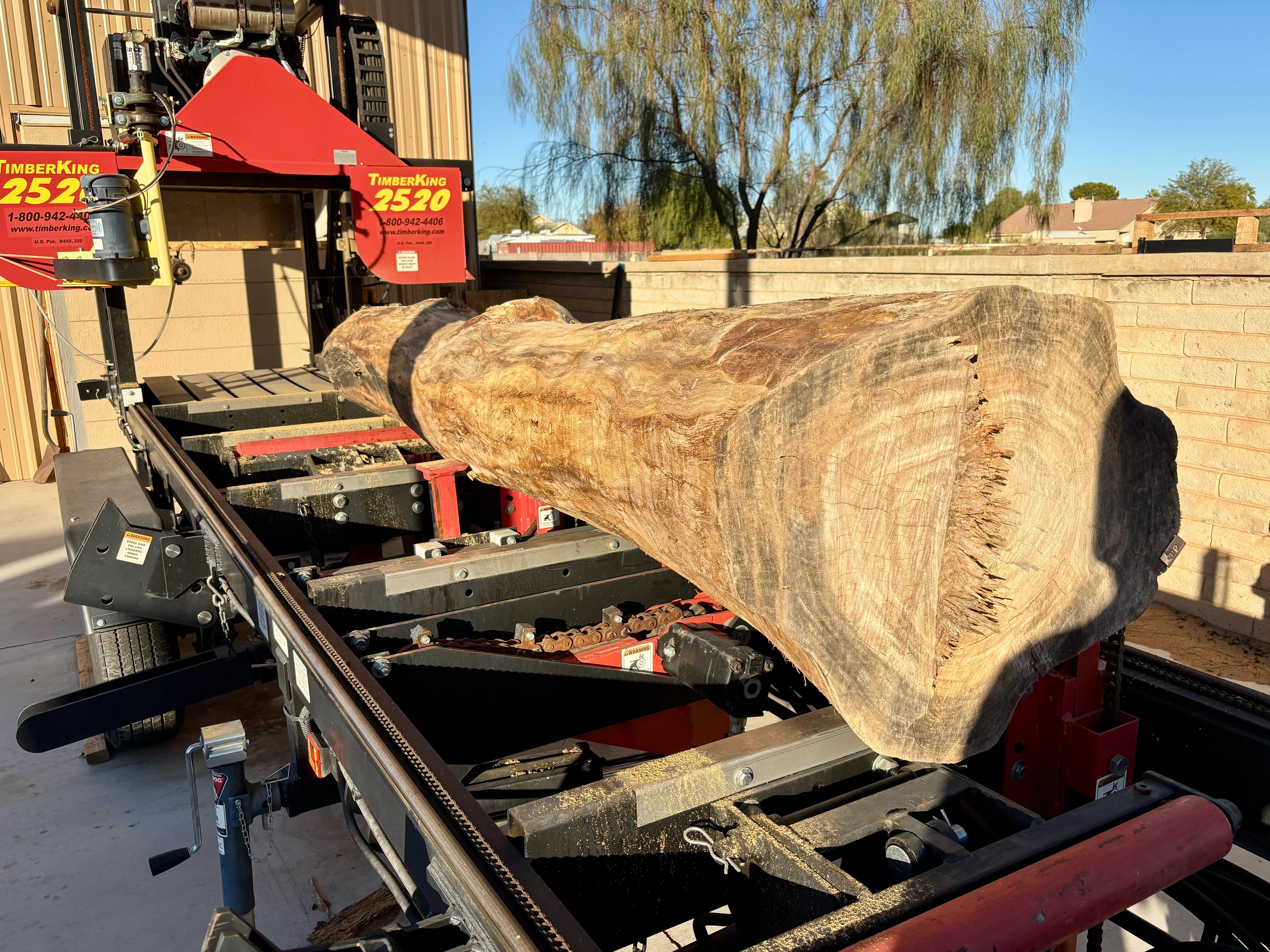 The rosewood log on the sawmill